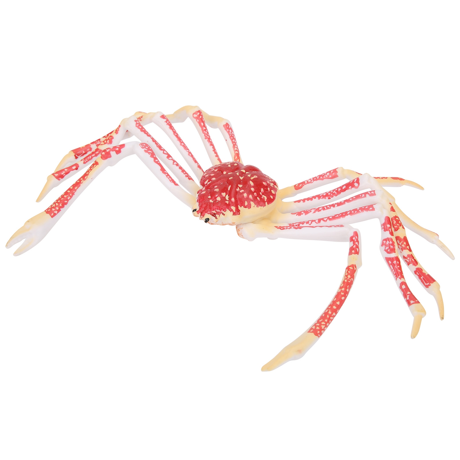 Modello di Granchio Simulato,  - Kids Toys Home recensione e prezzo