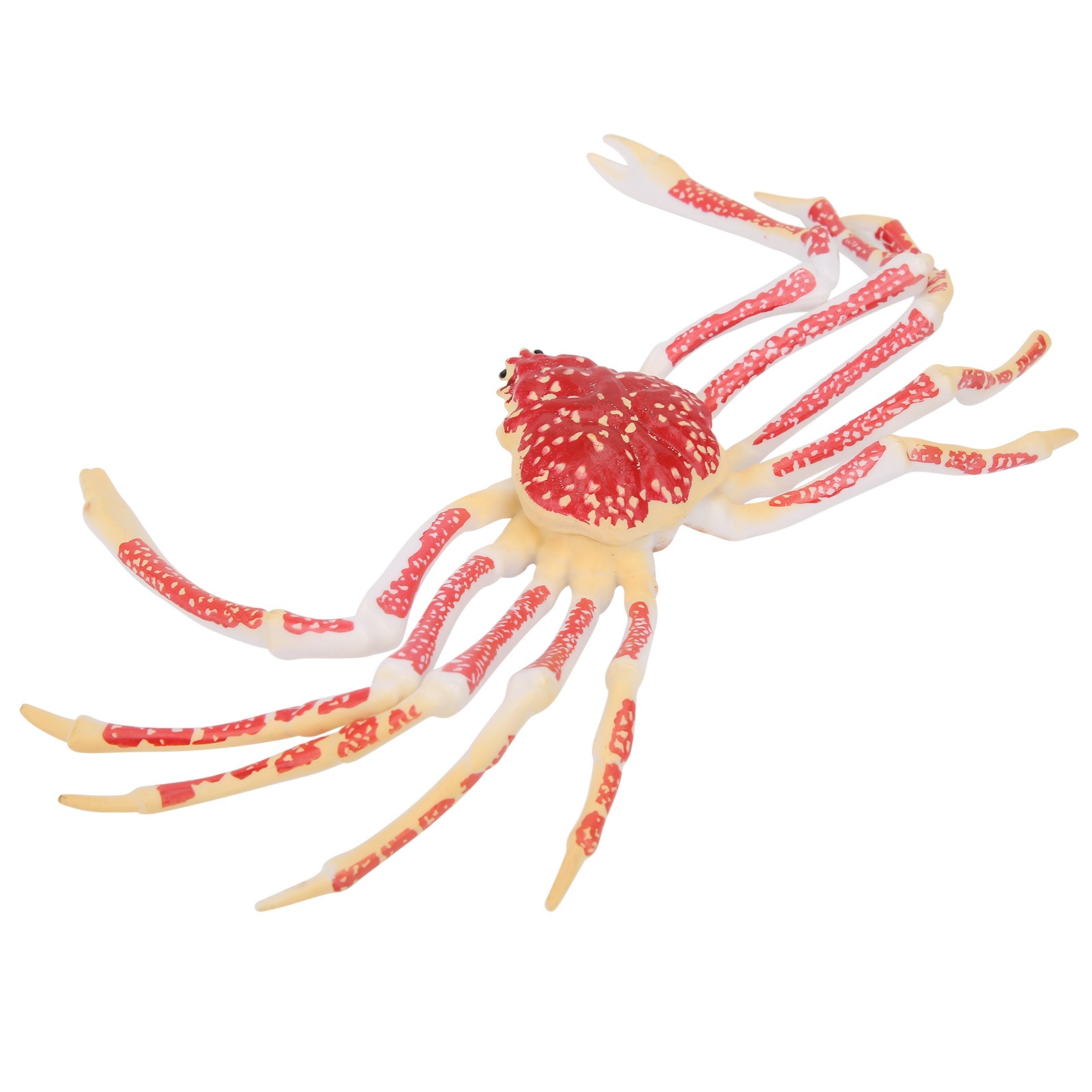 Modello di Granchio Simulato,  - Kids Toys Home recensione e prezzo