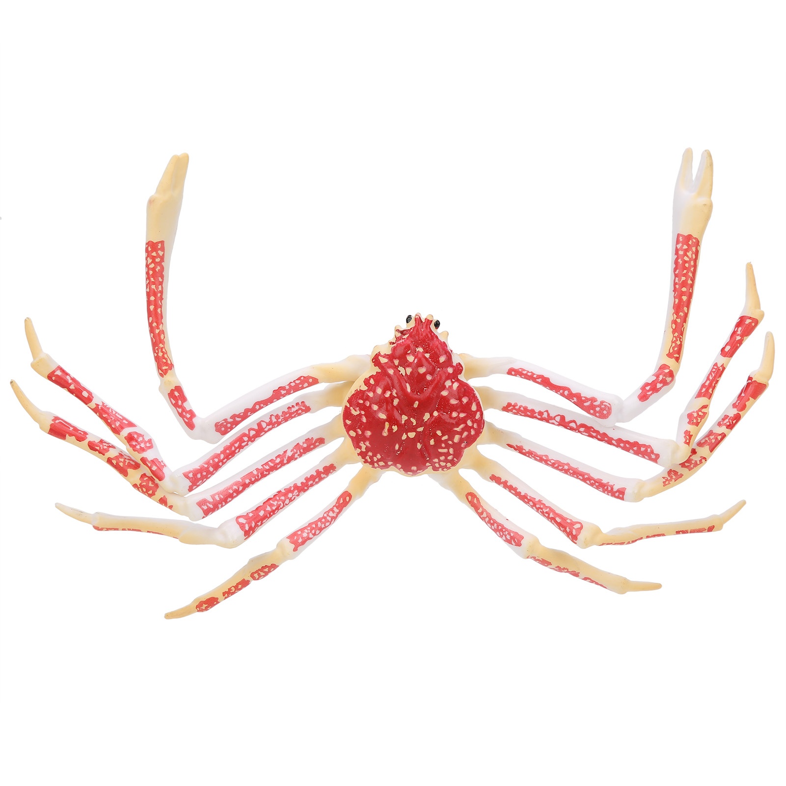 Modello di Granchio Simulato,  - Kids Toys Home recensione e prezzo