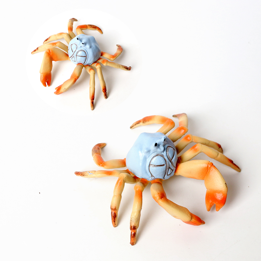 Animali oceanici realistici Gr - Kids Toys Home recensione e prezzo